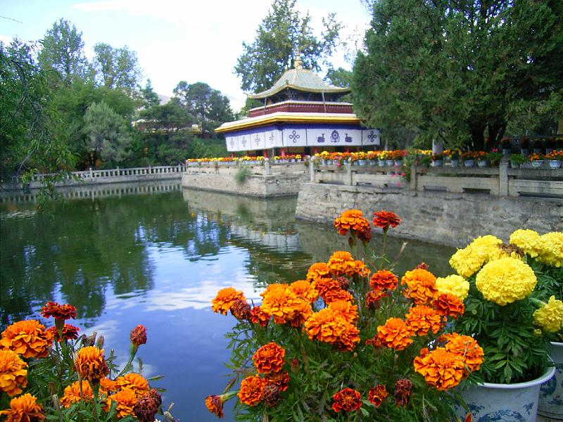 RIMG0202.JPG - Unicode