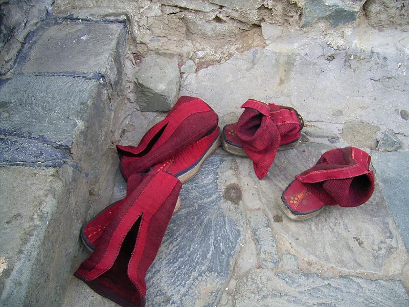 RIMG0511.JPG - monks' shoes