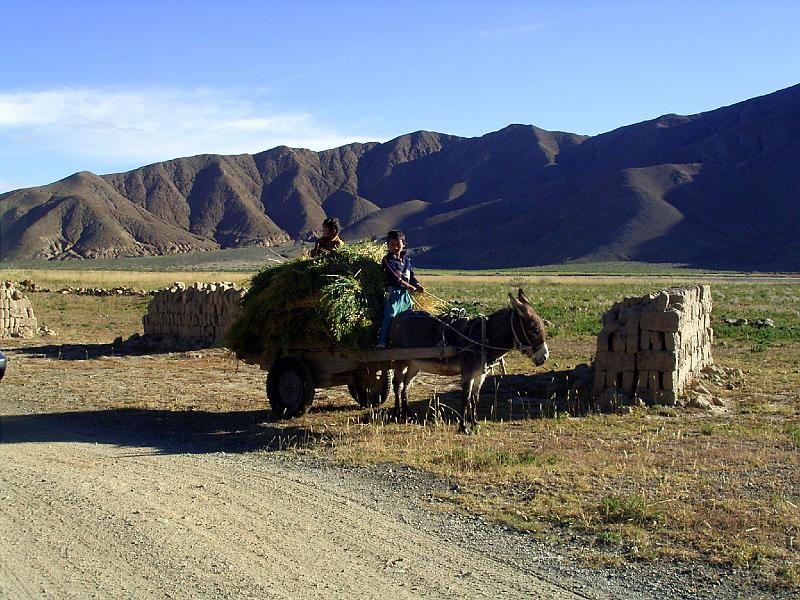 RIMG0513.JPG - Unicode