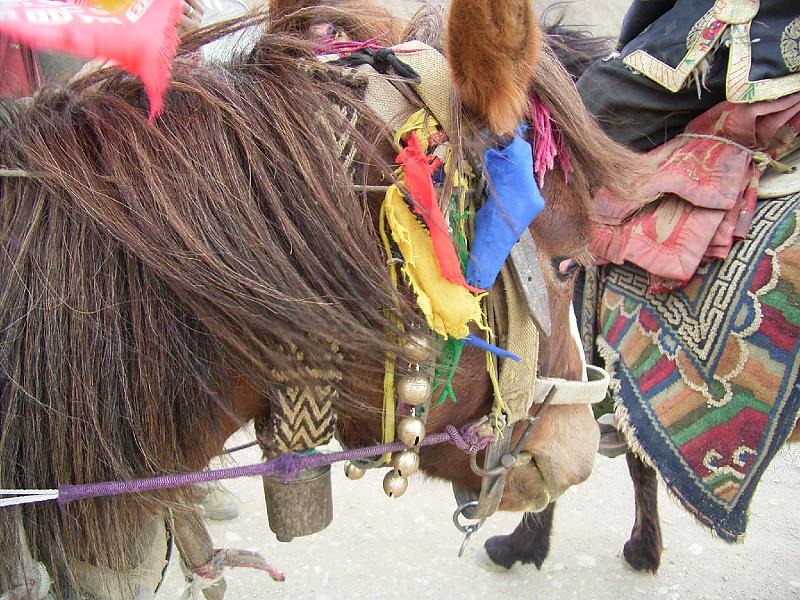 RIMG0752.JPG - Unicode