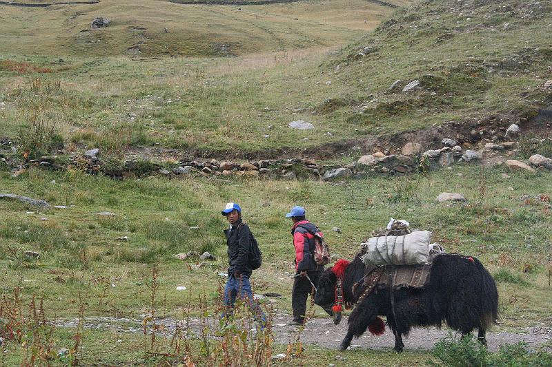 EPV0148-edited-1.jpg - PACK YAK