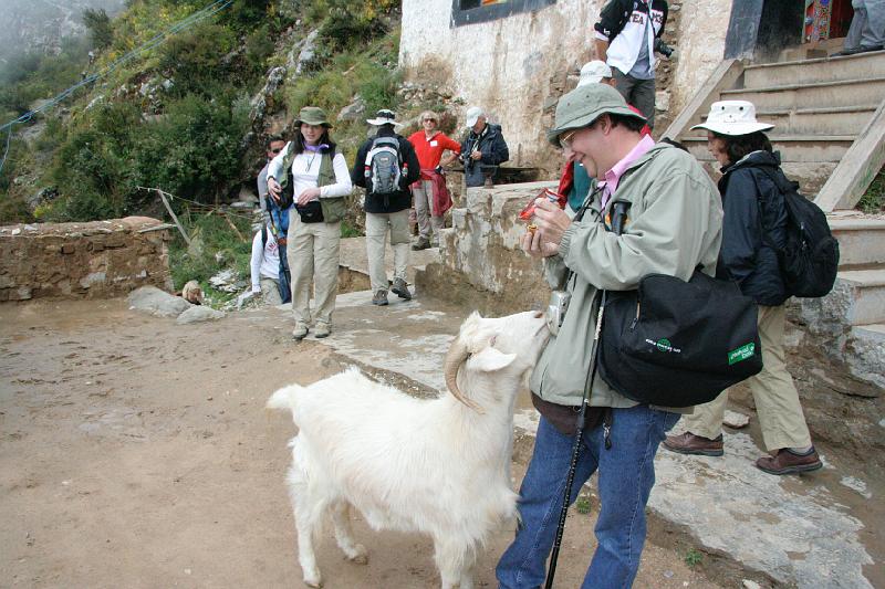 EPV0160.JPG - A FRIEND FOR LIFE! - DRAK YERPA BUDDHIST CAVES