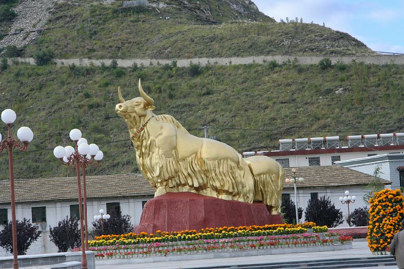 EPV0198.JPG - GOLDEN YAKS - LHASA