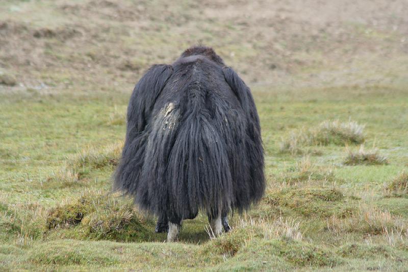 EPV0243.JPG - THE END!