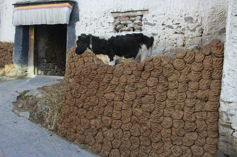 EPV0339-edited-1.jpg - "DID I DO ALL THAT?!? - GYANTSE