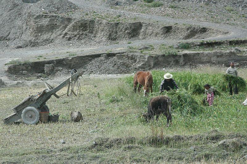 EPV0370-edited-1.jpg - EVERYONE HELPS