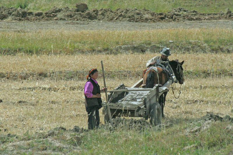 EPV0377-edited-1.jpg - FARMING THE HARD WAY - TIBETAN ROADSIDE