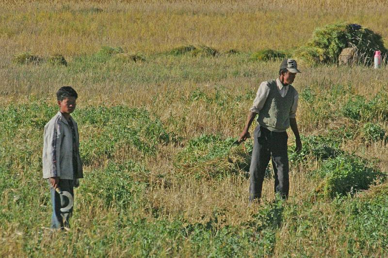 EPV0434-edited-1.jpg - HARVESTERS