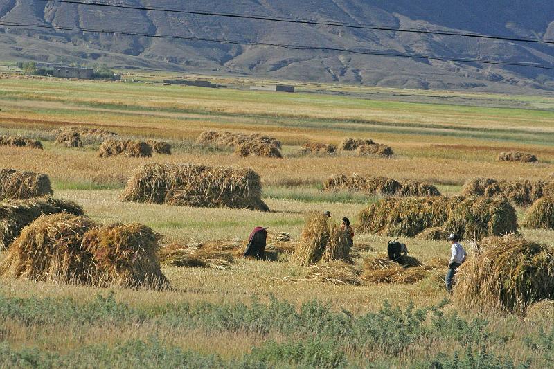 EPV0435-edited-1.jpg - A LOT OF WORK TO DO BY HAND