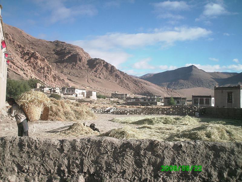 PICT00261.JPG - Barley is a mainstay