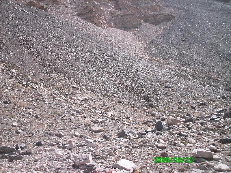 PICT0042.JPG - Look in the center