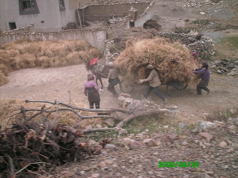 PICT0076.JPG - Working hard