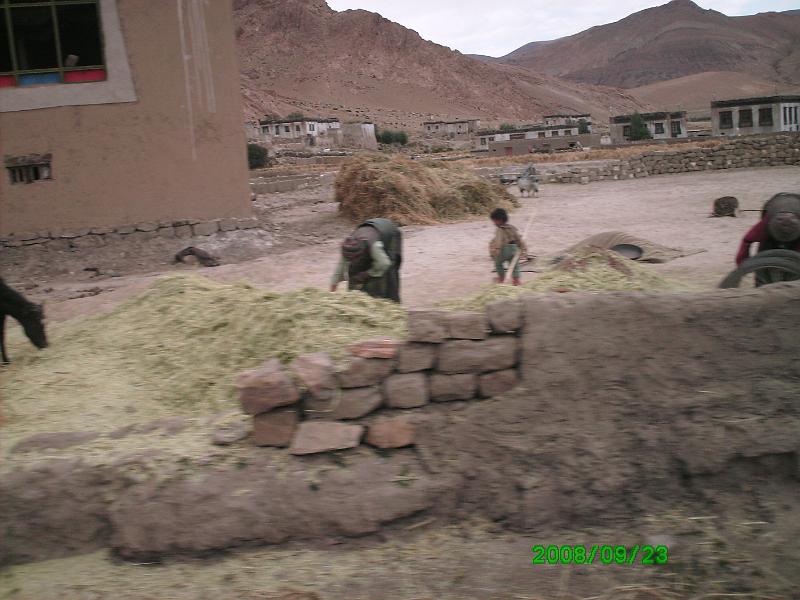 PICT00801.JPG - getting ready for winter