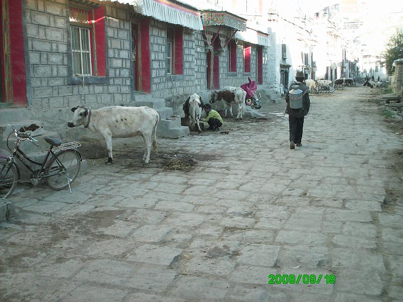 PICT0147.JPG - going home with water for the day