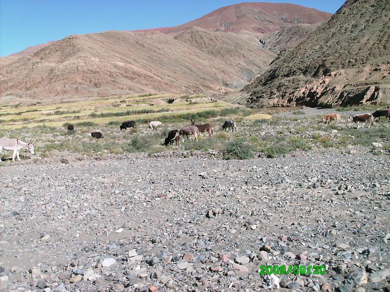 PICT0203.JPG - Everyone is so skinny