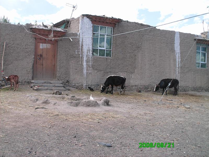 PICT0220.JPG - this is the sidedoor---we went in the front door