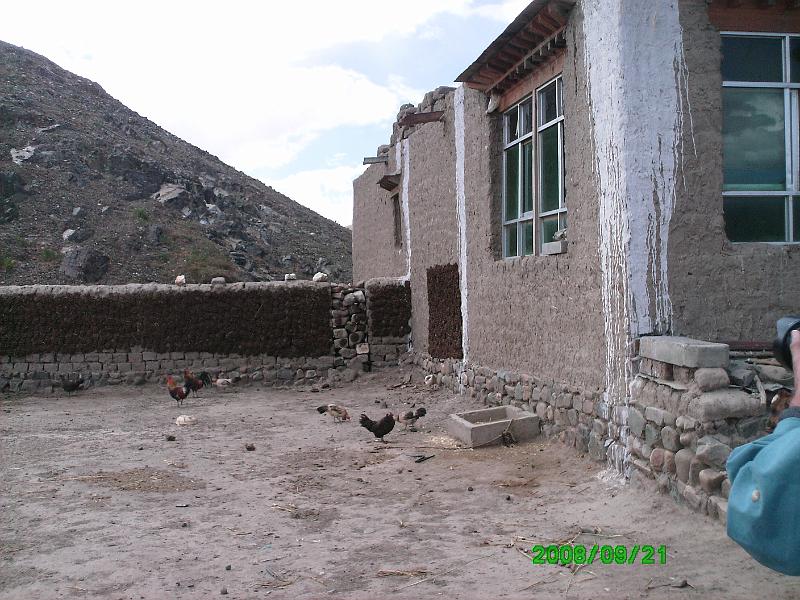 PICT0222.JPG - Yak dung on the walls will be buned for heat this winter