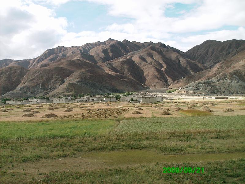 PICT0229.JPG - Harvesting barley by hand--no machines here